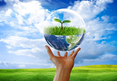 LGS Assurance Private Limited